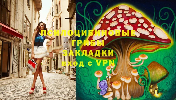 винт Абаза