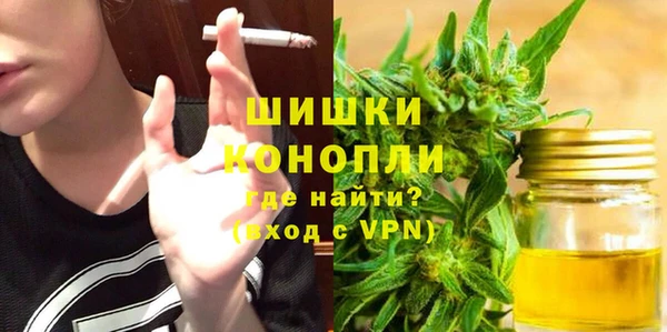 винт Абаза
