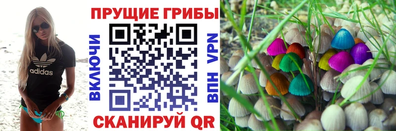 гидра маркетплейс  Алагир  Галлюциногенные грибы Psilocybine cubensis 